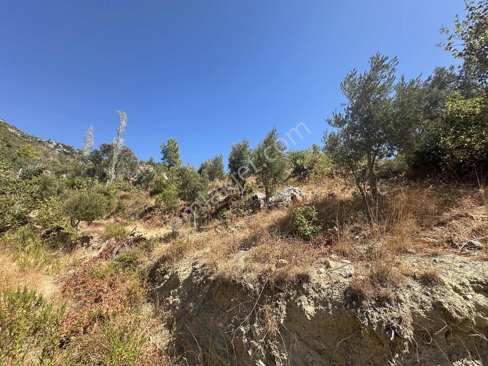 Satılık 1.000 M2 Deniz Ve Doğa Manzaralı Fırsat Tarla - Görsel 10