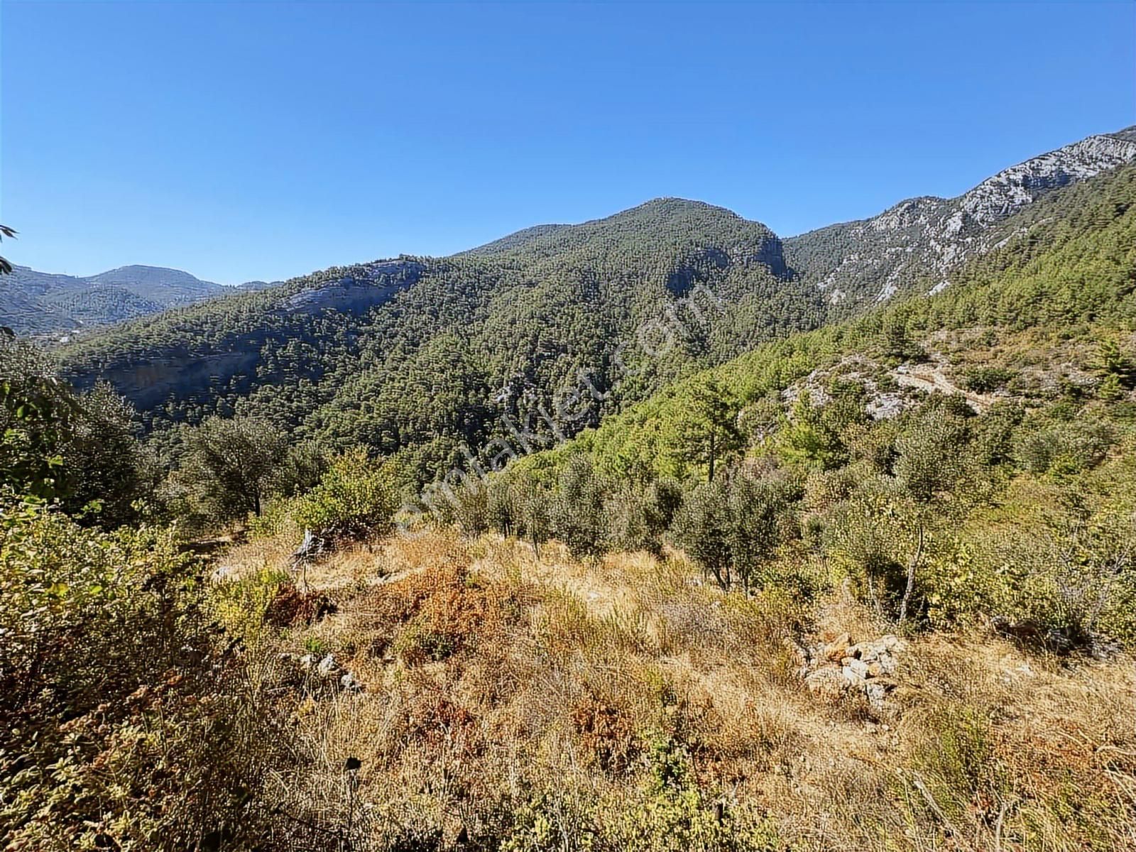 Satılık 1.000 M2 Deniz Ve Doğa Manzaralı Fırsat Tarla - Görsel 6