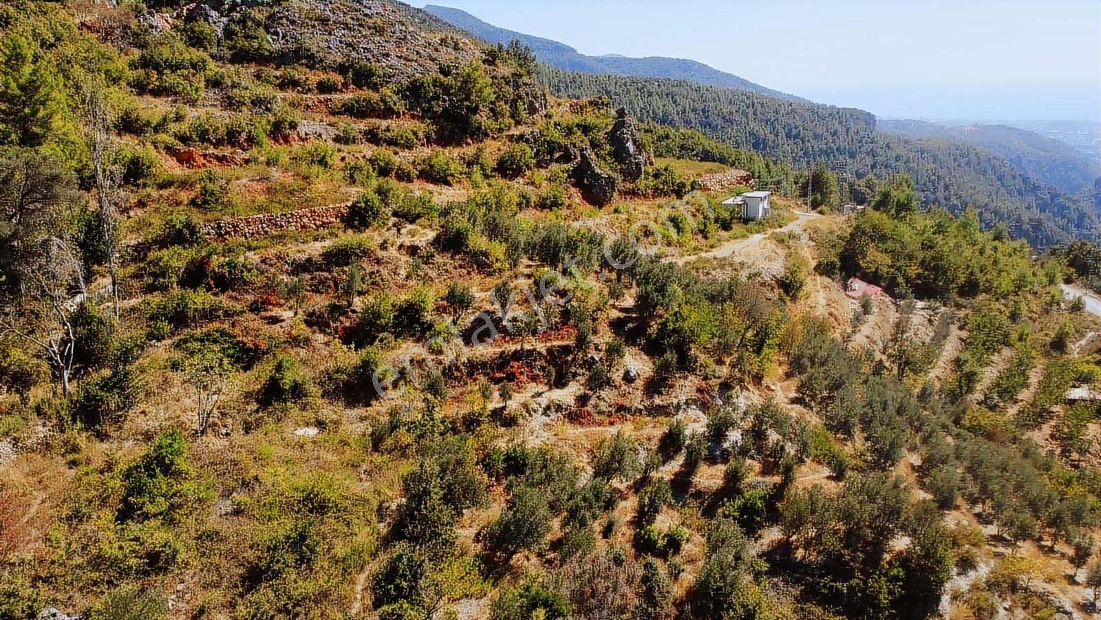 Satılık 1.000 M2 Deniz Ve Doğa Manzaralı Fırsat Tarla - Görsel 7