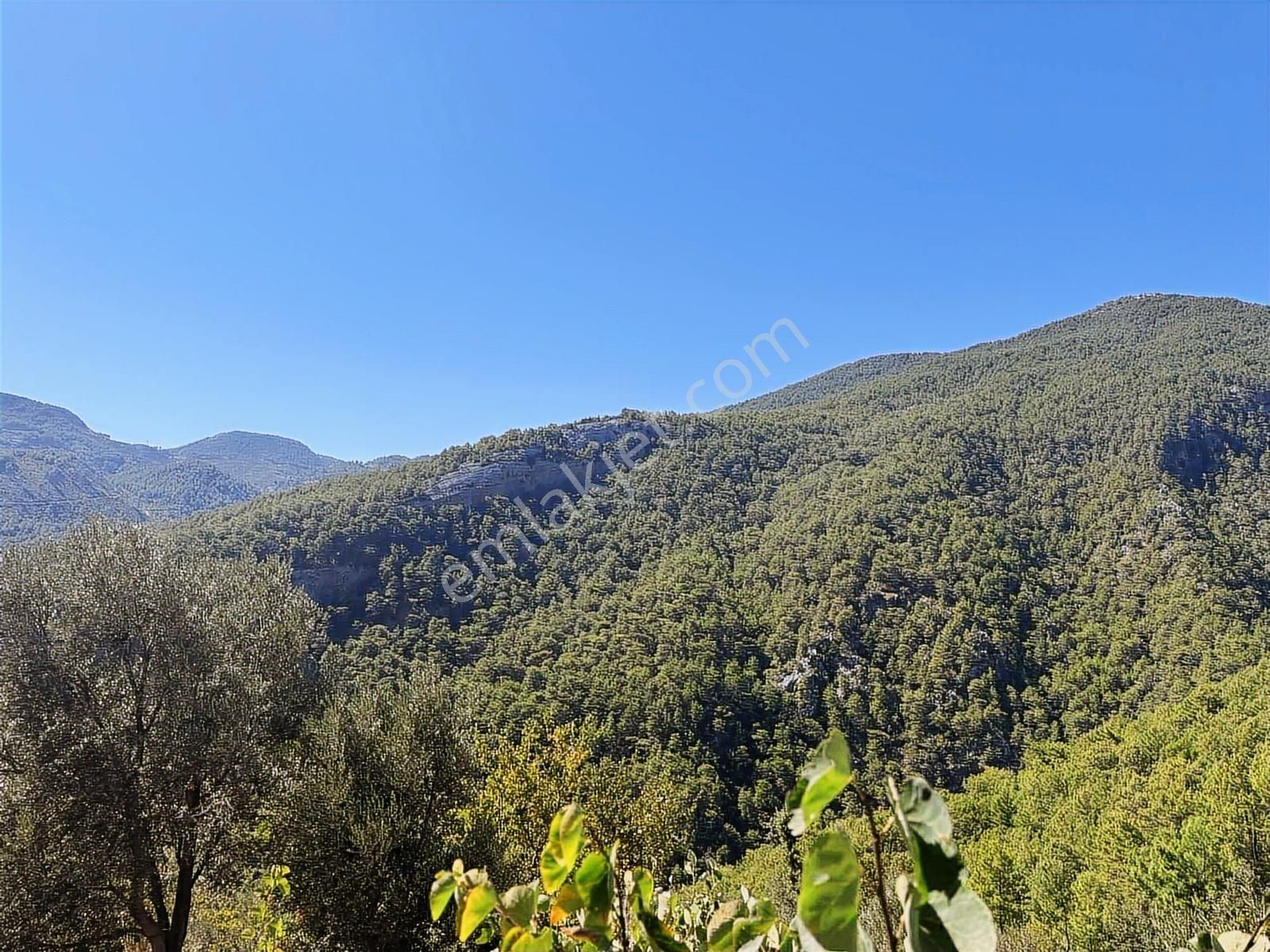 Satılık 1.000 M2 Deniz Ve Doğa Manzaralı Fırsat Tarla - Görsel 12