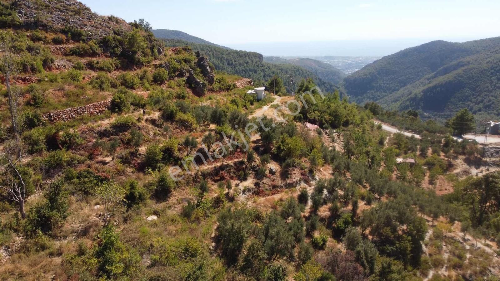 Satılık 1.000 M2 Deniz Ve Doğa Manzaralı Fırsat Tarla - Görsel 2