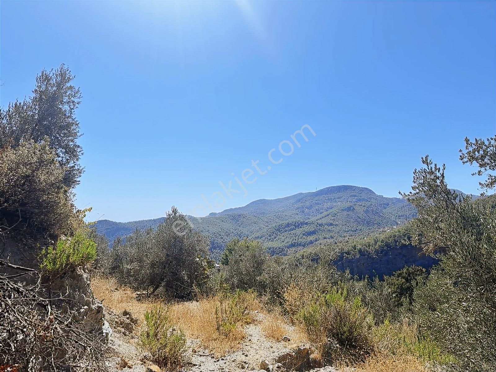 Satılık 1.000 M2 Deniz Ve Doğa Manzaralı Fırsat Tarla - Görsel 27