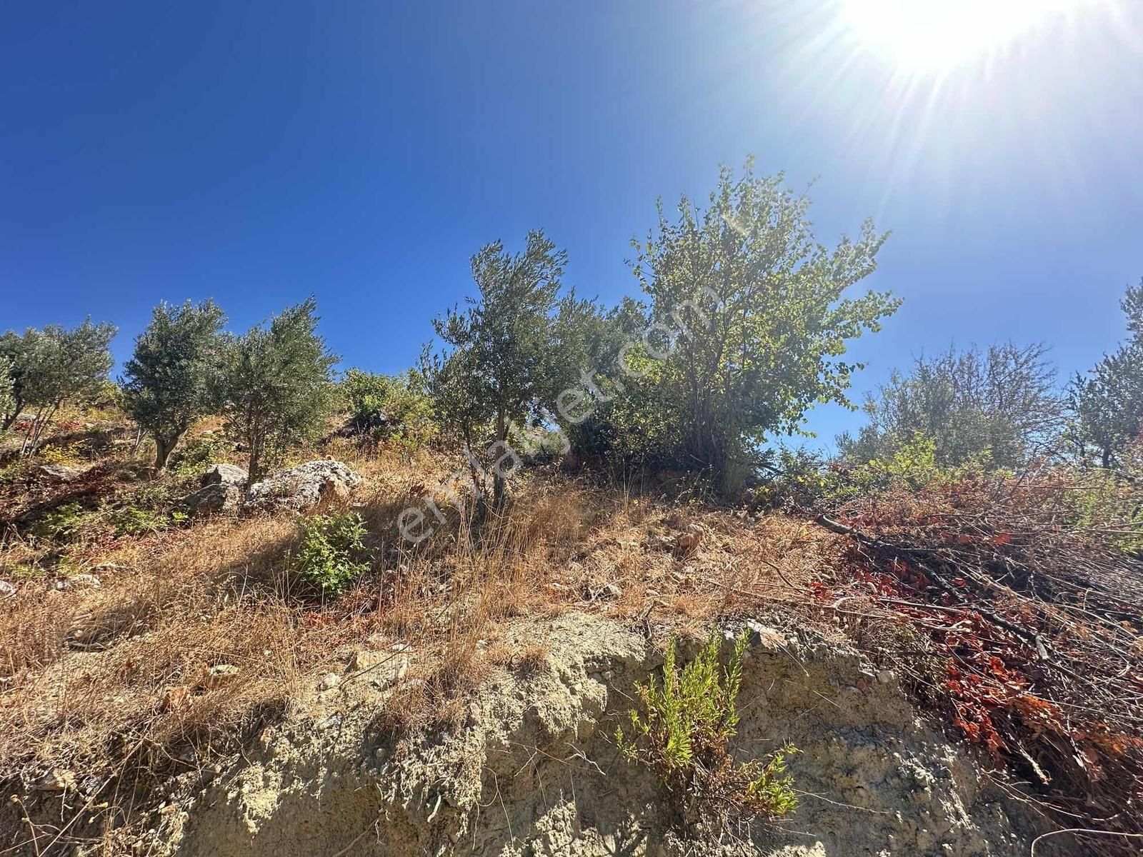 Satılık 1.000 M2 Deniz Ve Doğa Manzaralı Fırsat Tarla - Görsel 18