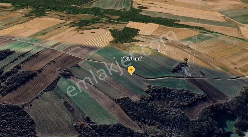 Silivri Değirmenköy Kadastral Yola Cephe 2.826 M2 Satılık Tarla - Görsel 5
