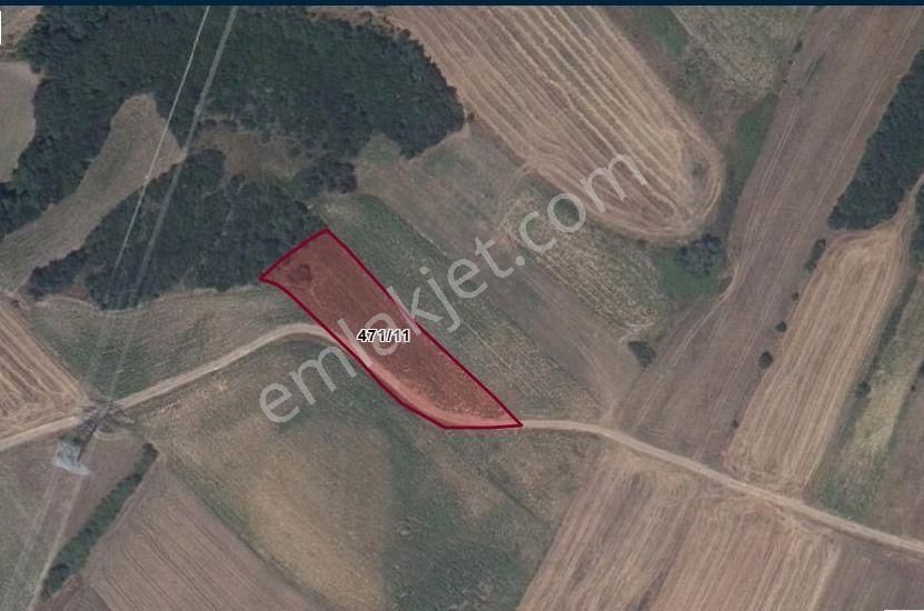 Silivri Değirmenköy Kadastral Yola Cephe 2.826 M2 Satılık Tarla - Görsel 8