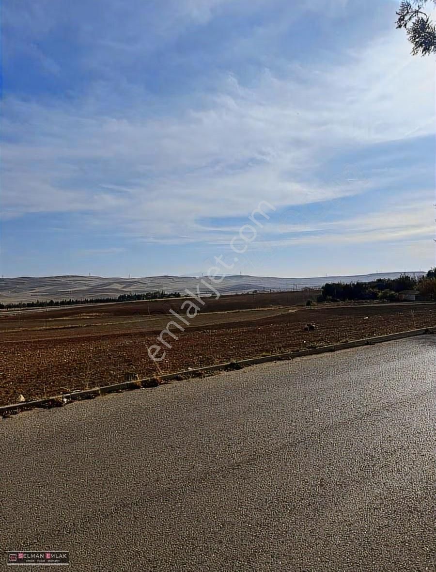 Müstakil Tapulu 4 Kat'a İmarlı Arsa - Görsel 4