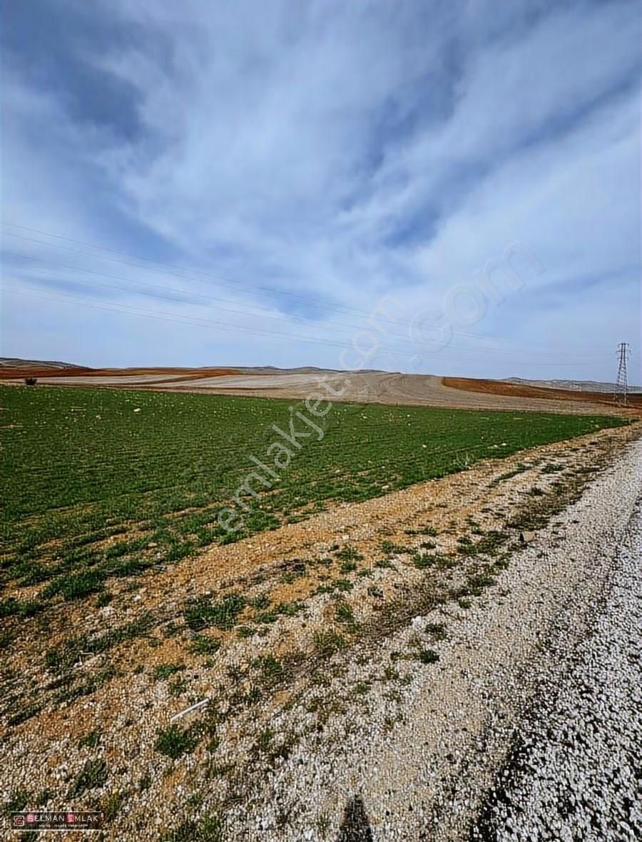 Müstakil Tapulu 4 Kat'a İmarlı Arsa - Görsel 15