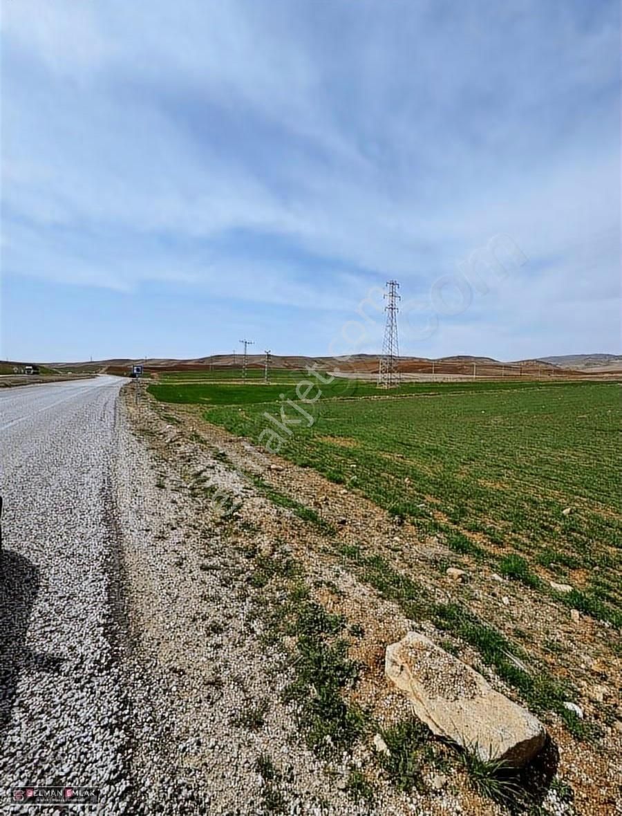 Müstakil Tapulu 4 Kat'a İmarlı Arsa - Görsel 3