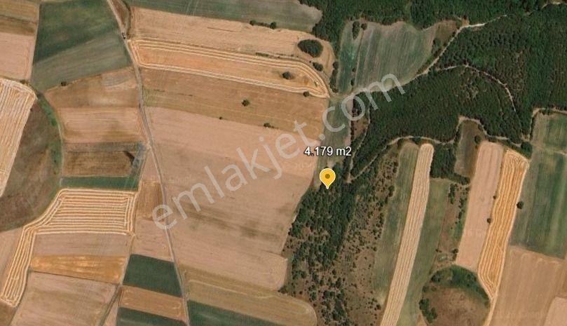 Değirmenköy'de Kadastral Yola Cepheli 4.179 M2 Yatırımlık Tarla - Görsel 7