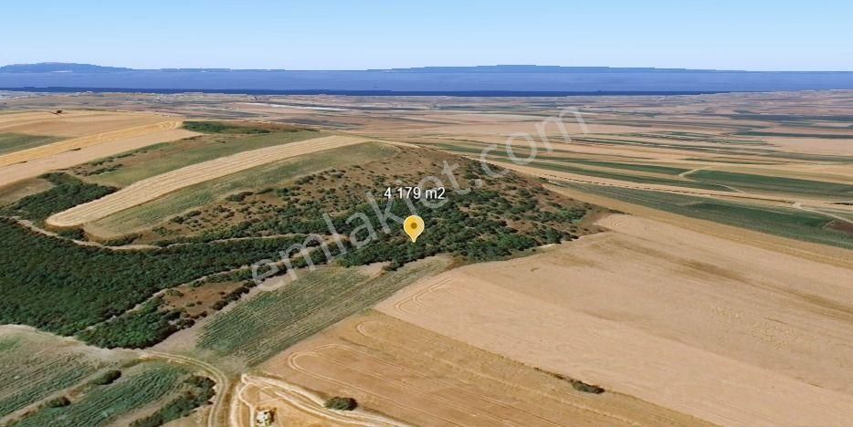 Değirmenköy'de Kadastral Yola Cepheli 4.179 M2 Yatırımlık Tarla - Görsel 4
