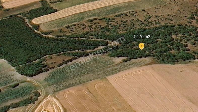 Değirmenköy'de Kadastral Yola Cepheli 4.179 M2 Yatırımlık Tarla - Görsel 5