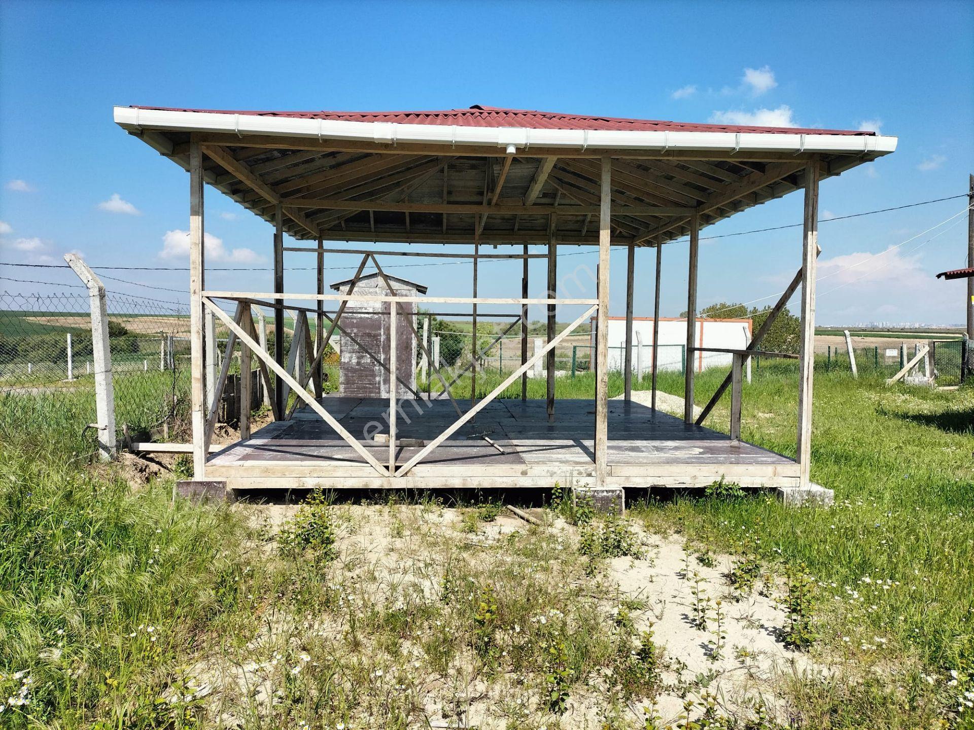 Çorlu-şahpazda Satılık Tek Tapulu Bağ-bahçe - Görsel 6