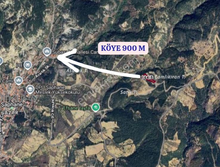 Kütahya Şaphane Pazar Köyünde 4.163 M² Vişne Kiraz Bahçesi Satılıktır - Görsel 7