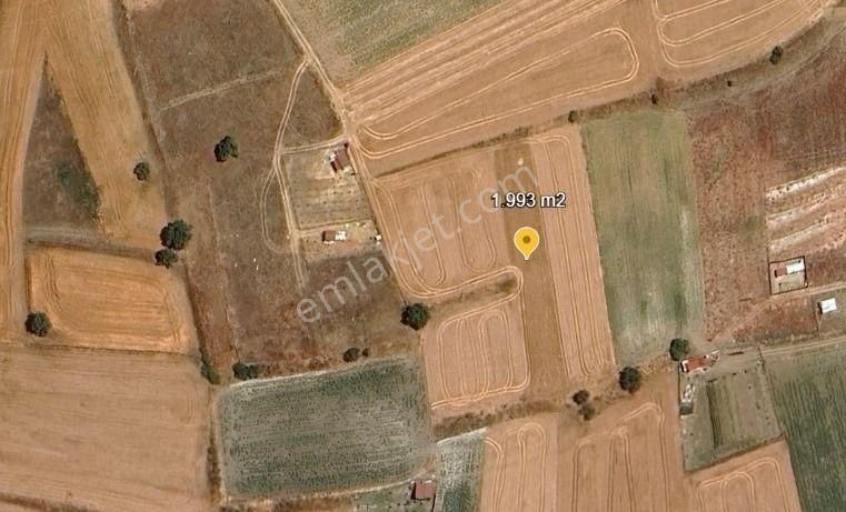 Değirmenköy Arpalıklar Mevkiinde Yerleşime Yakın 1.993 M2 Tarla - Görsel 6