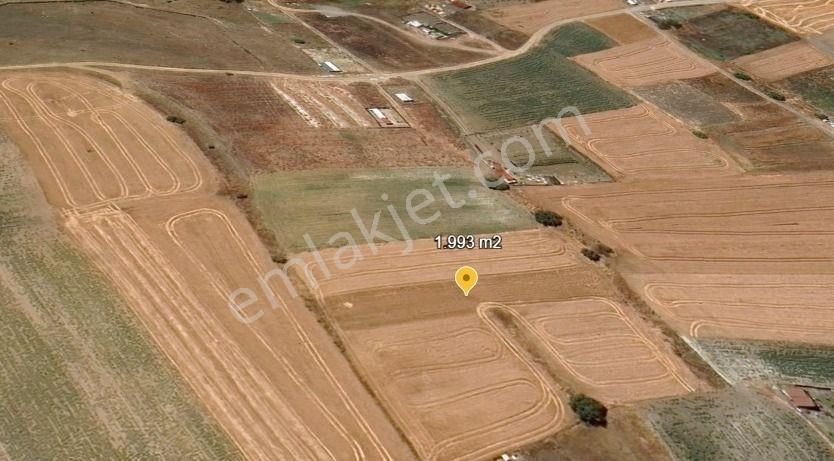Değirmenköy Arpalıklar Mevkiinde Yerleşime Yakın 1.993 M2 Tarla - Görsel 5