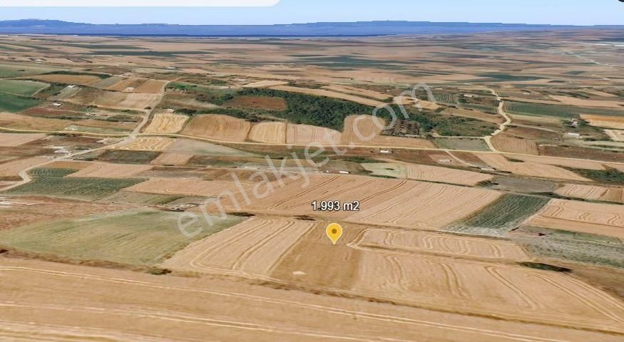 Değirmenköy Arpalıklar Mevkiinde Yerleşime Yakın 1.993 M2 Tarla - Görsel 4