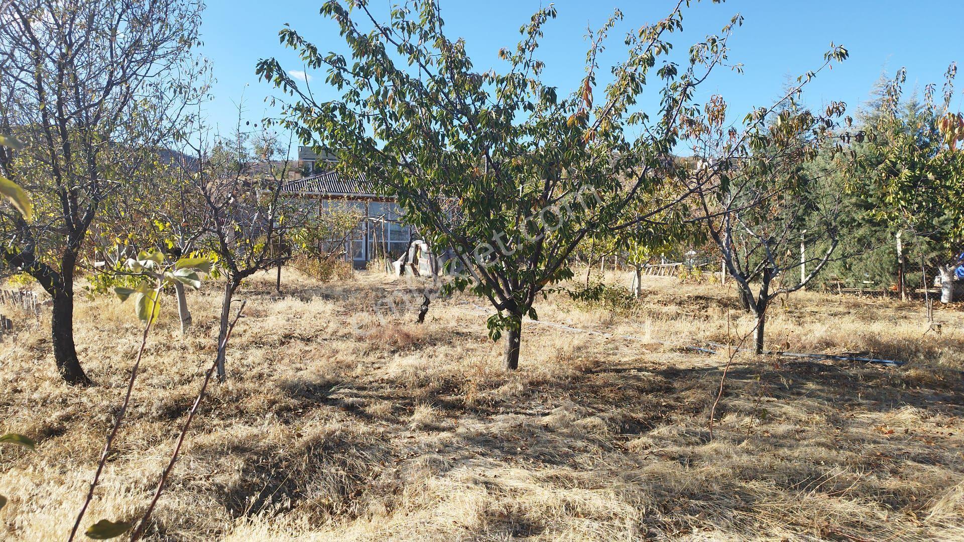 Satılık Bahçe Ve Ev - Görsel 6
