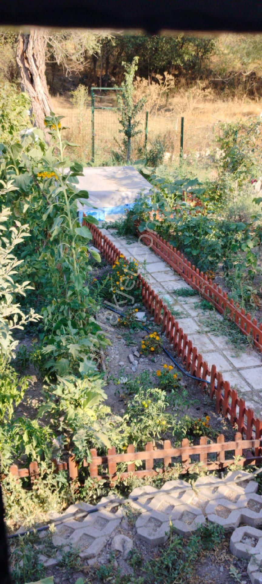 Satılık Mistik - Görsel 9