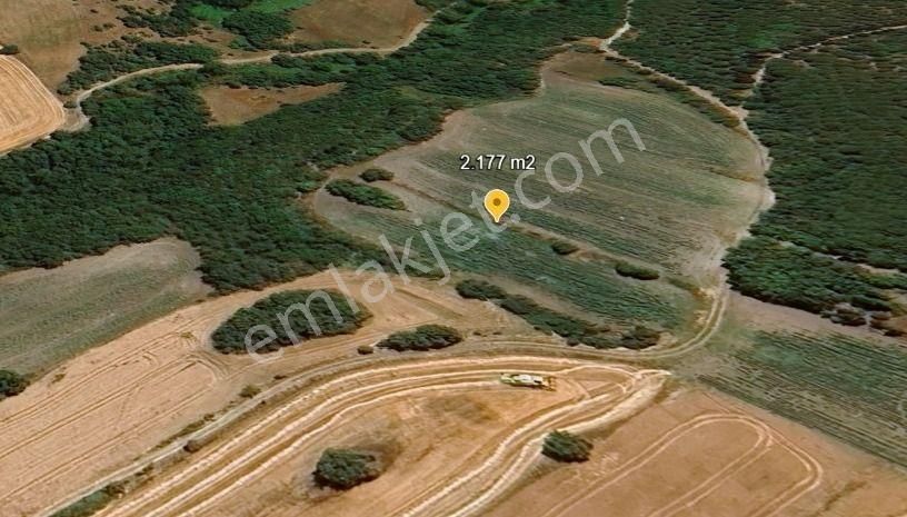 Değirmenköy'de Kadastral Yola Cepheli 2.177 M2 Yatırımlık Tarla - Görsel 6