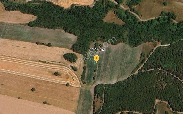 Değirmenköy'de Kadastral Yola Cepheli 2.177 M2 Yatırımlık Tarla - Görsel 4