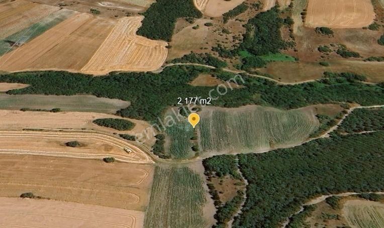 Değirmenköy'de Kadastral Yola Cepheli 2.177 M2 Yatırımlık Tarla - Görsel 5