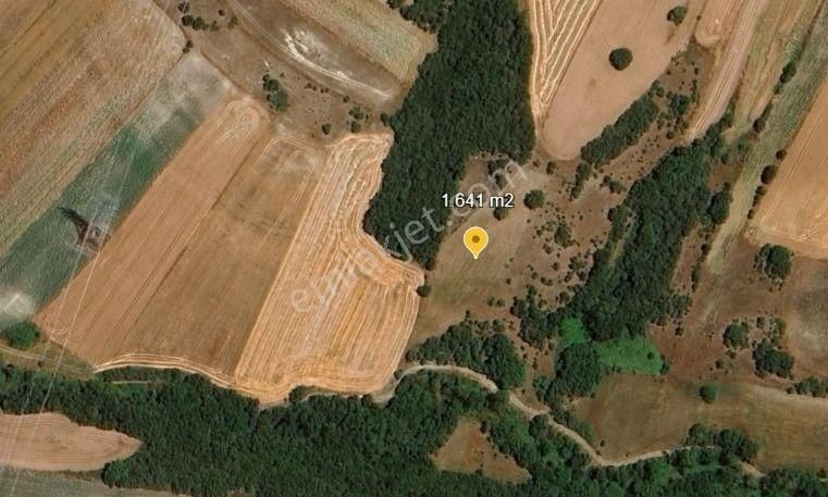 Değirmenköy'de Kadastral Yola Cepheli 1.641 M2 Yatırımlık Tarla - Görsel 5