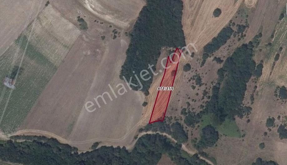 Değirmenköy'de Kadastral Yola Cepheli 1.641 M2 Yatırımlık Tarla - Görsel 8