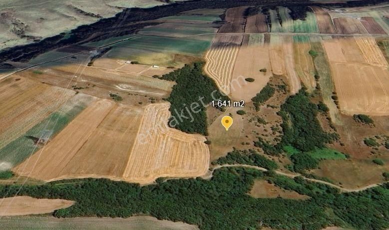 Değirmenköy'de Kadastral Yola Cepheli 1.641 M2 Yatırımlık Tarla - Görsel 6