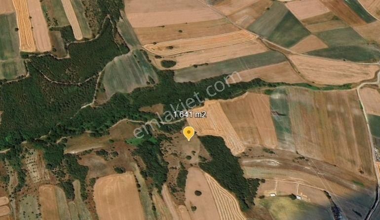 Değirmenköy'de Kadastral Yola Cepheli 1.641 M2 Yatırımlık Tarla - Görsel 7