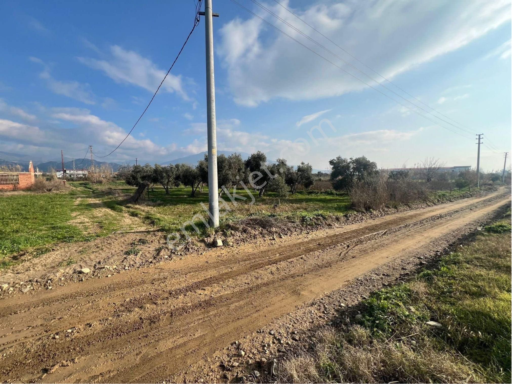 Aydın / Nazilli – Durasıllı 🛣️ Devlet Karayoluna Sıfır Cepheli - Görsel 10