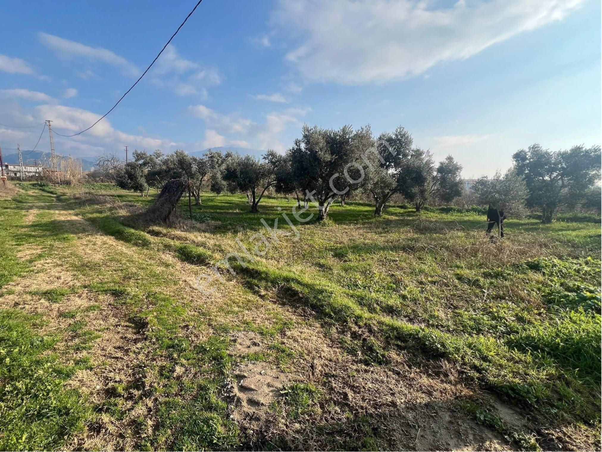 Aydın / Nazilli – Durasıllı 🛣️ Devlet Karayoluna Sıfır Cepheli