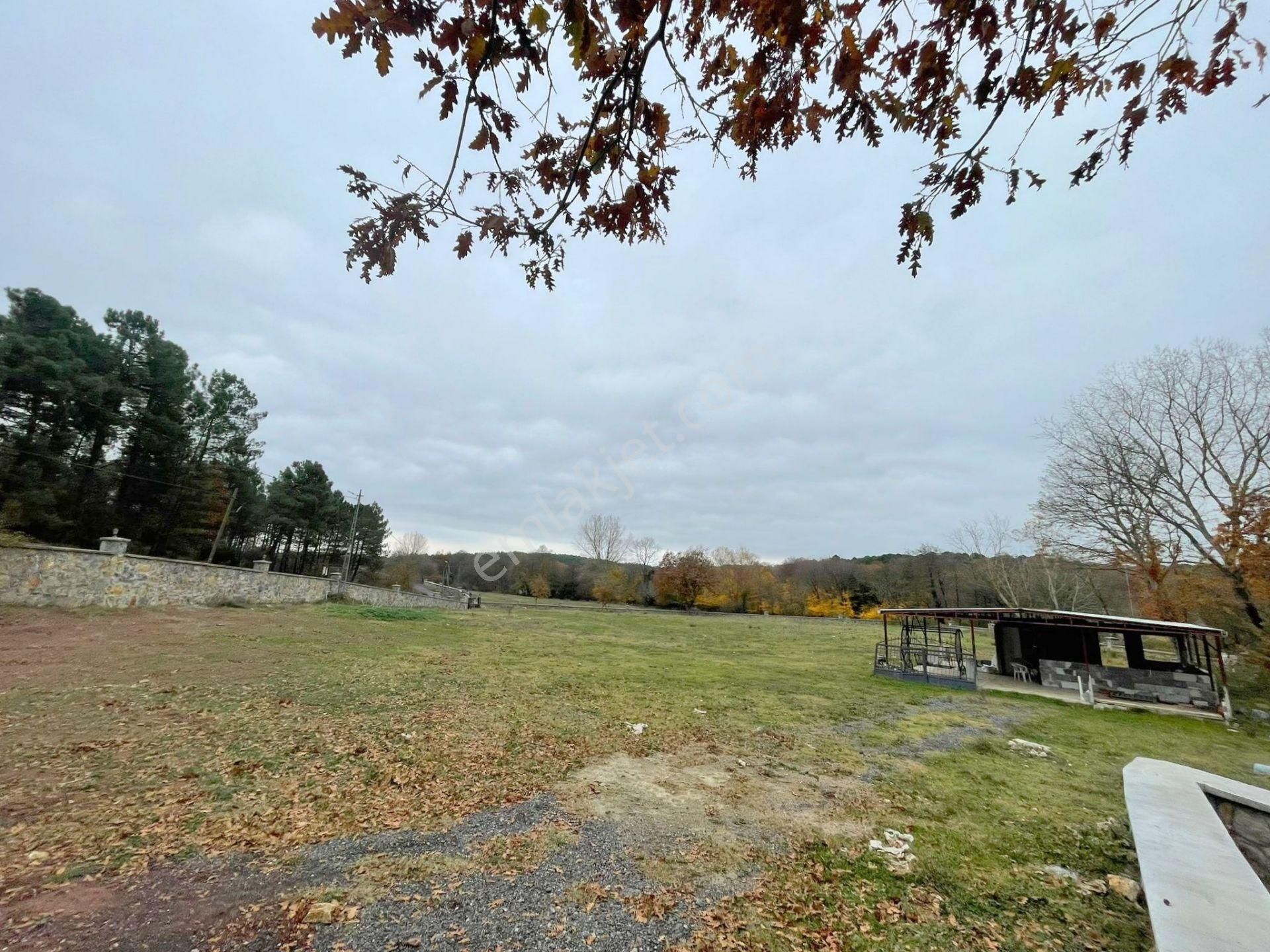 Mertcan'dan Pendik Ballıca Mahallesi Müstakil Parsel Arsa - Görsel 11