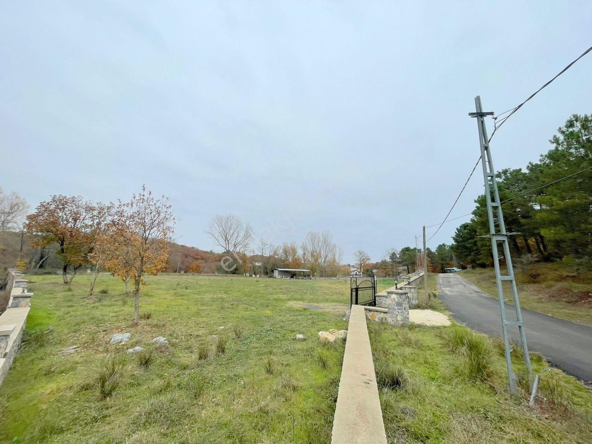 Mertcan'dan Pendik Ballıca Mahallesi Müstakil Parsel Arsa - Görsel 15