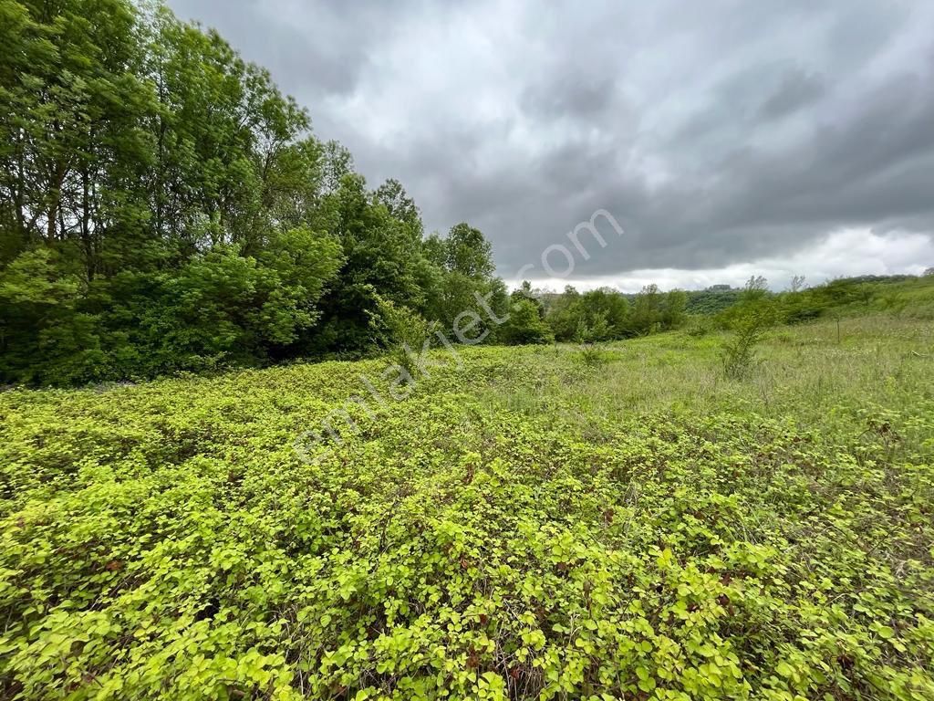 Kandıra Sakarya Köylerinde Bütçenize Uygun Satılık Bağ, Bahçe, Arsa, Tarla Yerlerimiz Bulunmaktadır