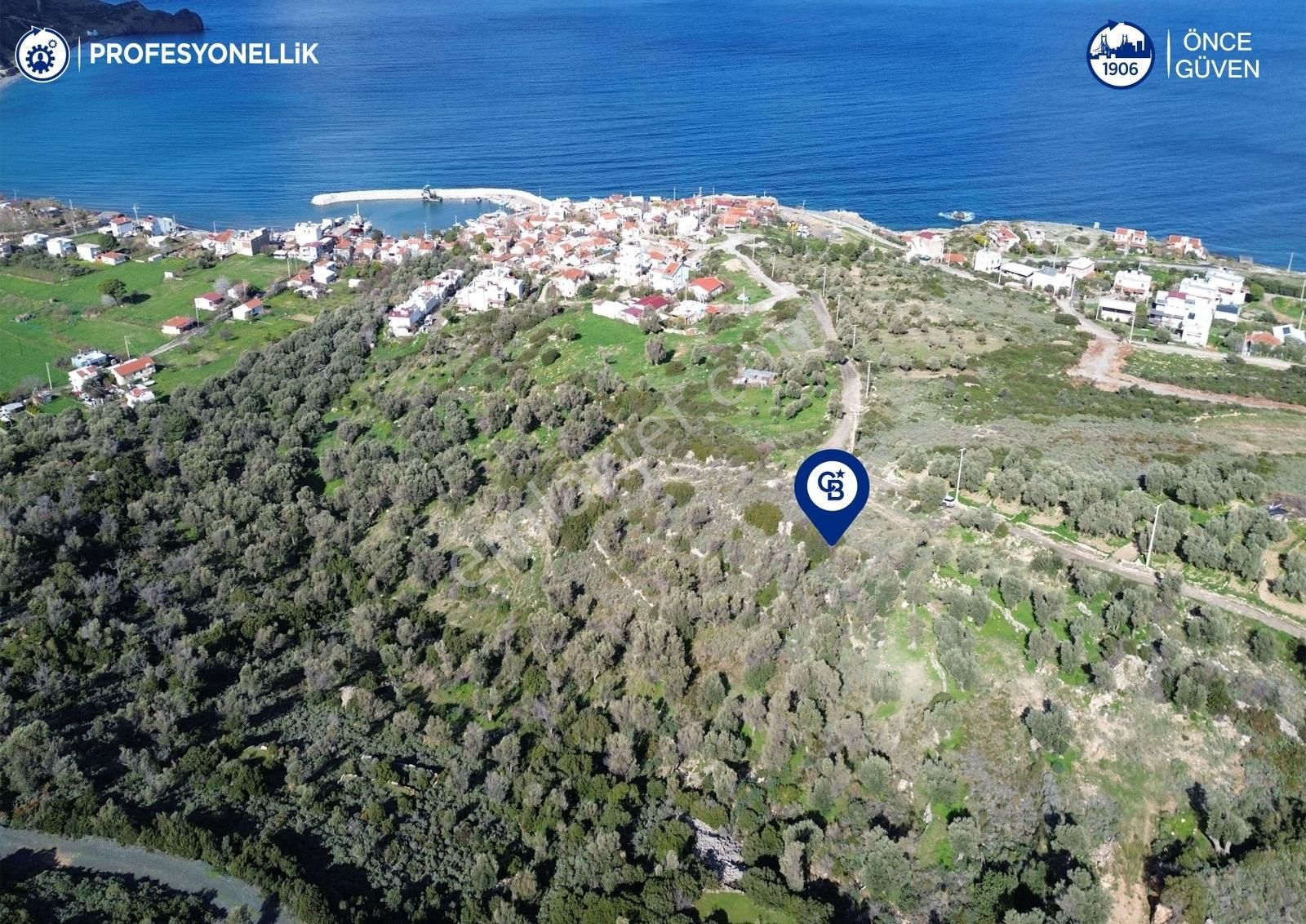 Karaburun Tepeboz Mahallesi'nde Deniz Manzaralı 4117 M² Tarla - Görsel 12