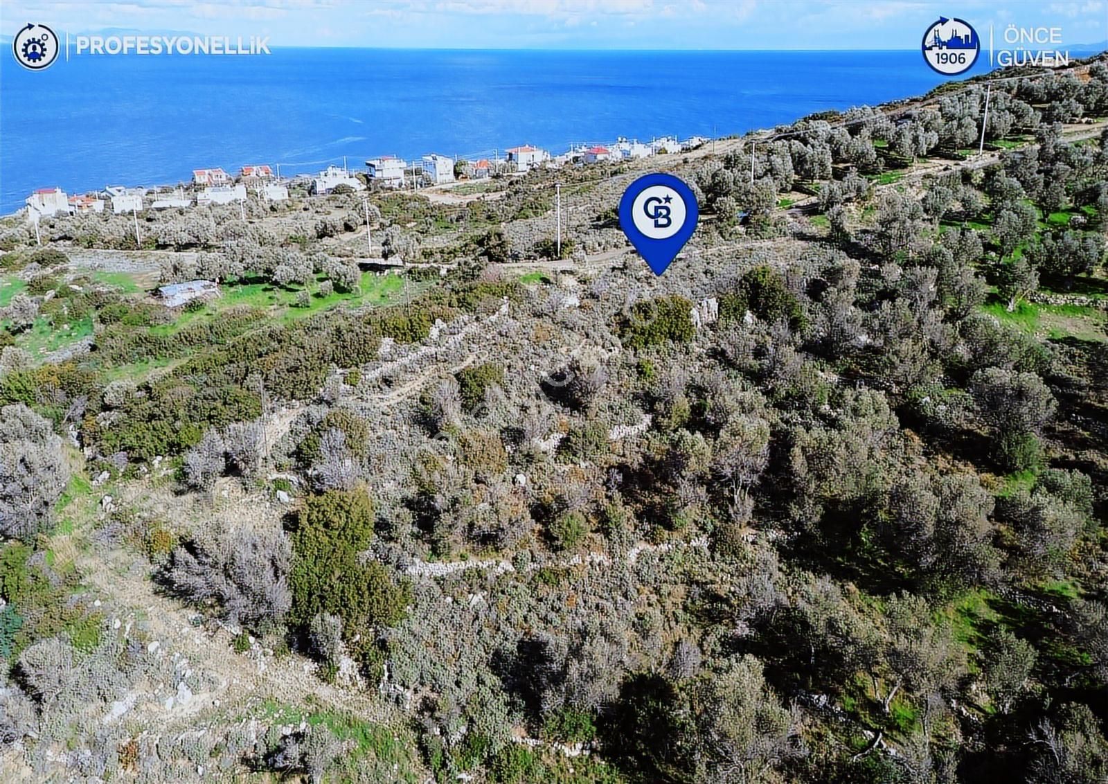 Karaburun Tepeboz Mahallesi'nde Deniz Manzaralı 4117 M² Tarla - Görsel 5