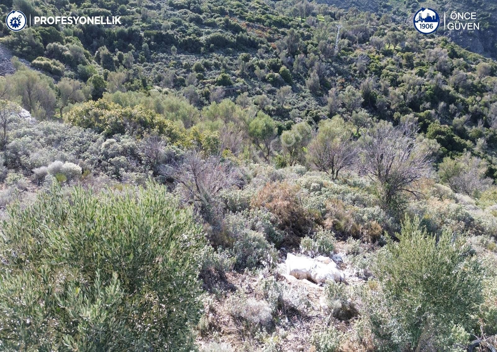 Karaburun Tepeboz Mahallesi'nde Deniz Manzaralı 4117 M² Tarla - Görsel 6