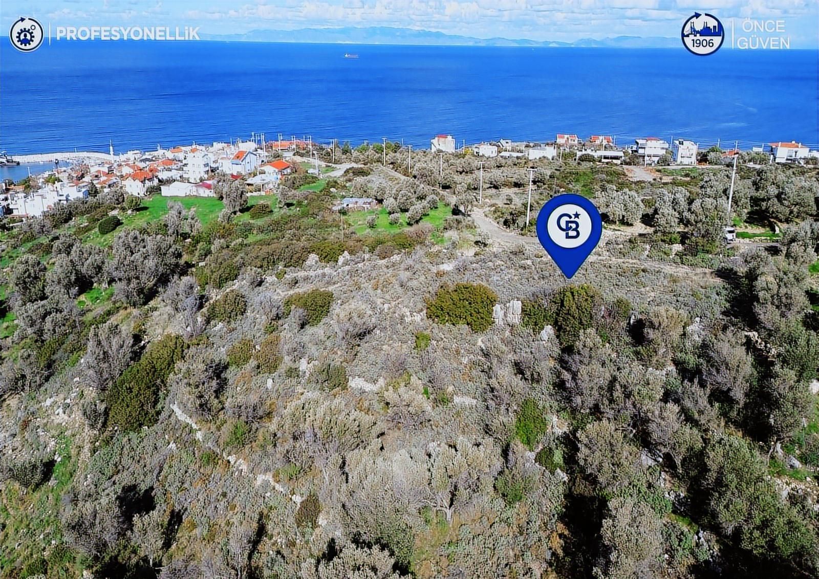 Karaburun Tepeboz Mahallesi'nde Deniz Manzaralı 4117 M² Tarla - Görsel 2