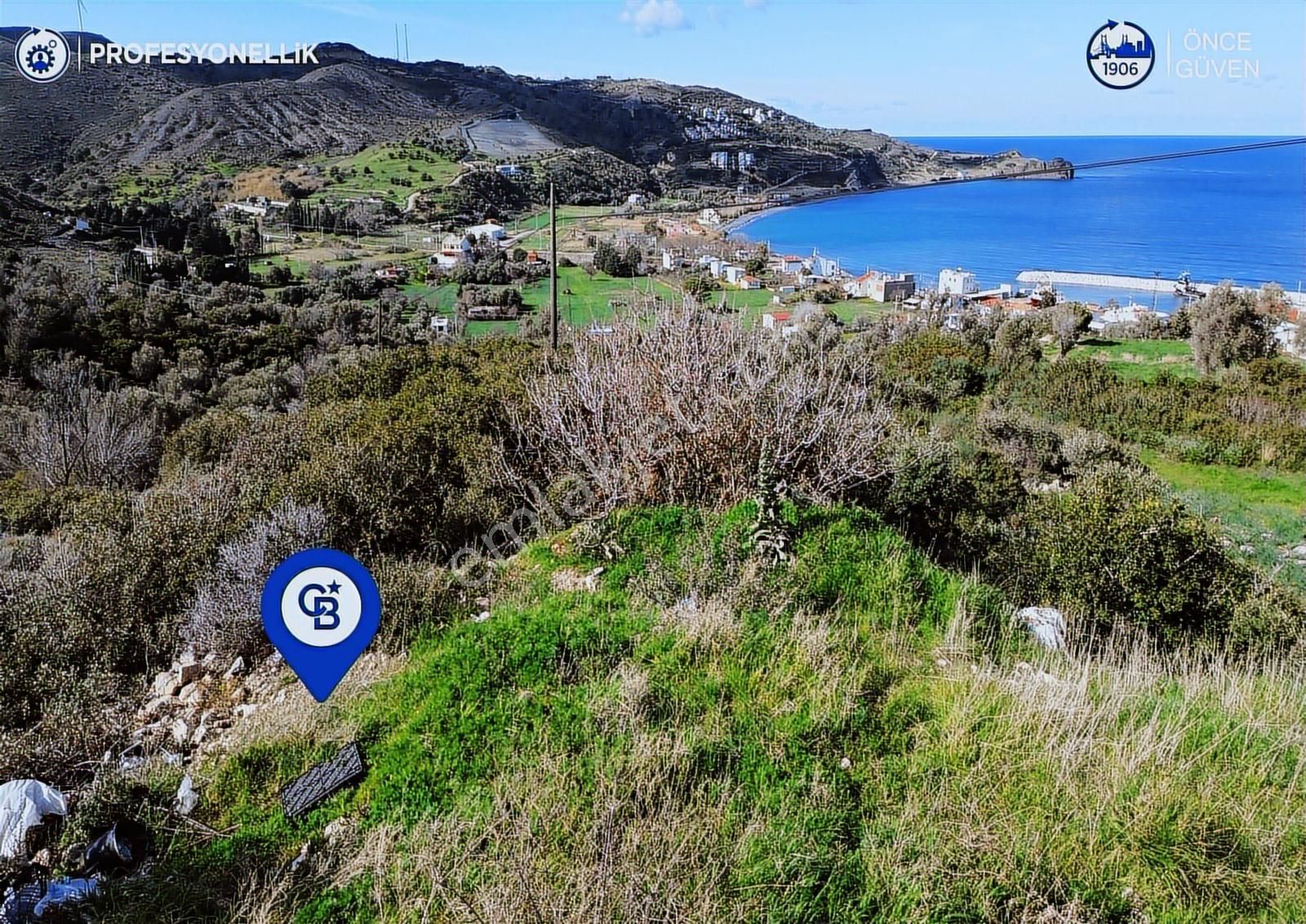 Karaburun Tepeboz Mahallesi'nde Deniz Manzaralı 4117 M² Tarla - Görsel 17