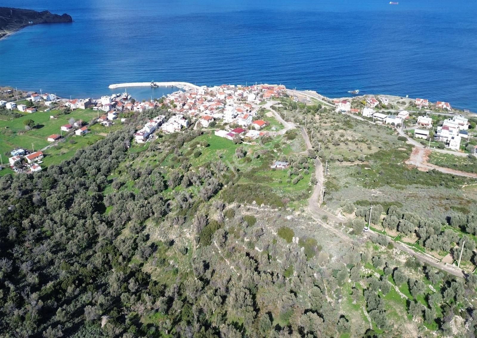 Karaburun Tepeboz Mahallesi'nde Deniz Manzaralı 4117 M² Tarla