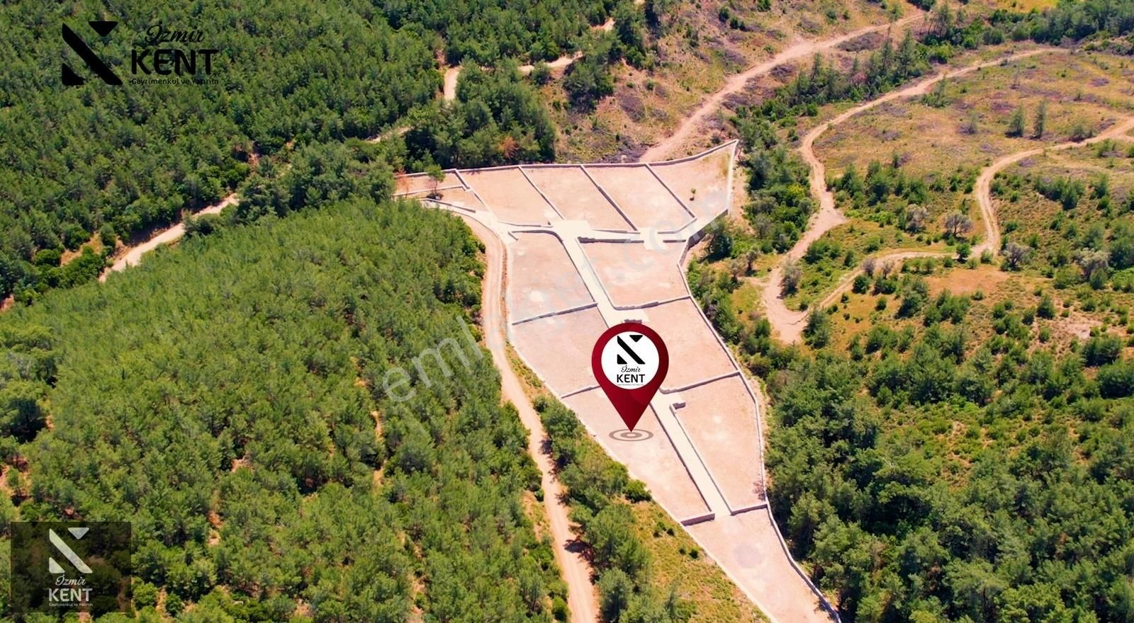 Kemalpaşa Kuyucak Satılık Bahçe 1.070 M2 - Görsel 20