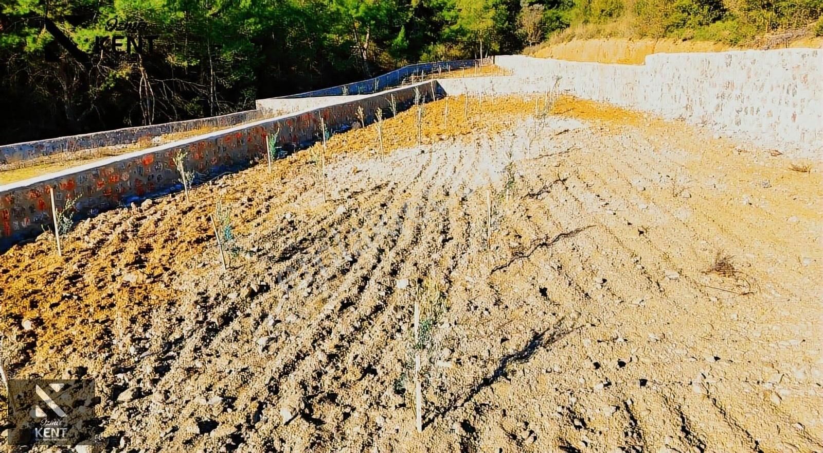 Kemalpaşa Kuyucak Satılık Bahçe 1.070 M2 - Görsel 29