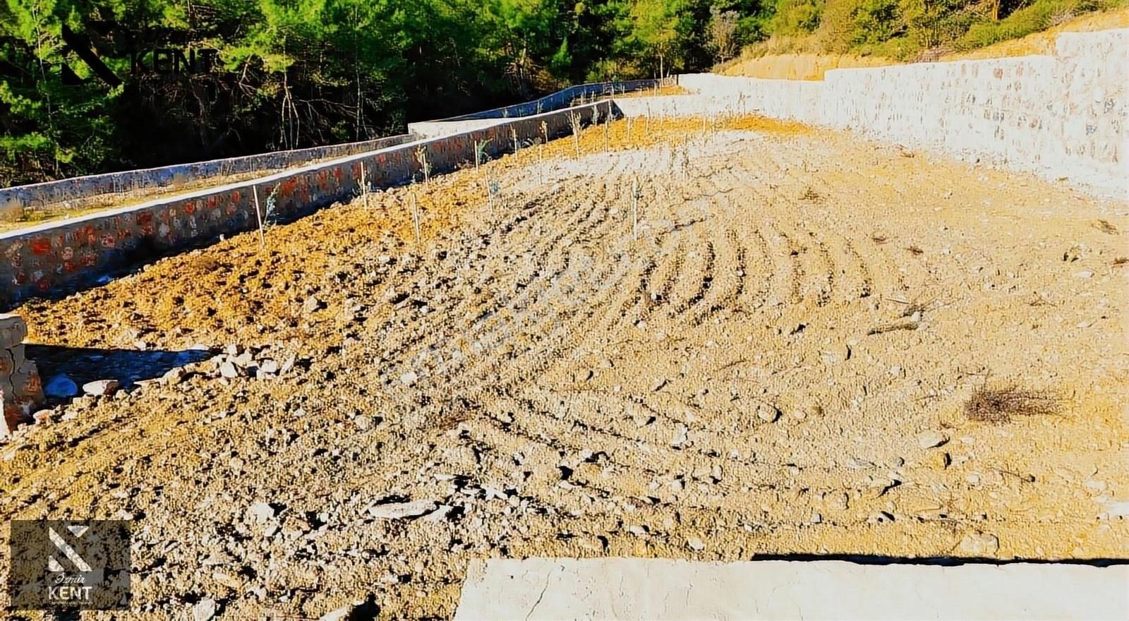Kemalpaşa Kuyucak Satılık Bahçe 1.070 M2 - Görsel 5