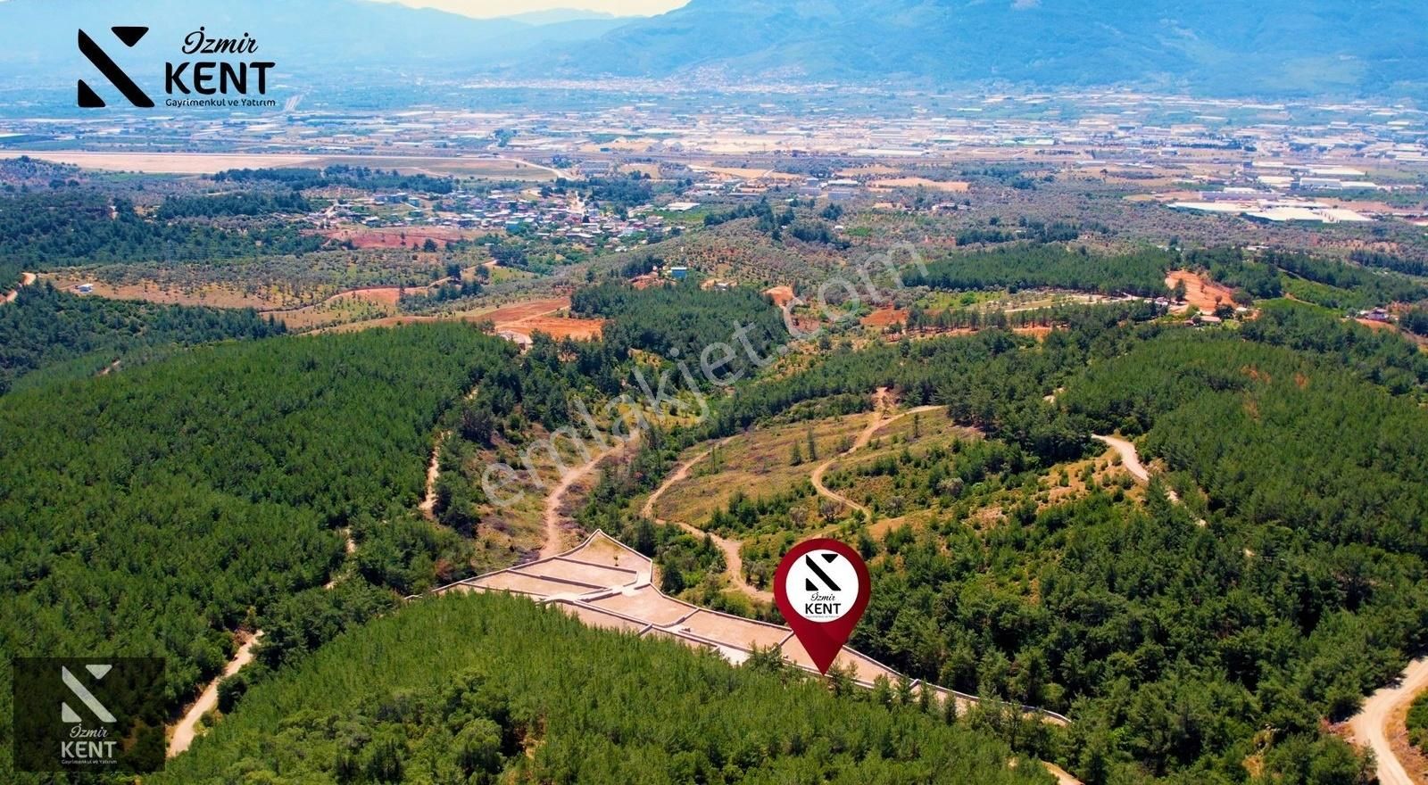 Kemalpaşa Kuyucak Satılık Bahçe 1.070 M2 - Görsel 27