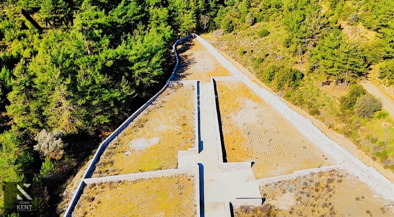 Kemalpaşa Kuyucak Satılık Bahçe 1.070 M2 - Görsel 13