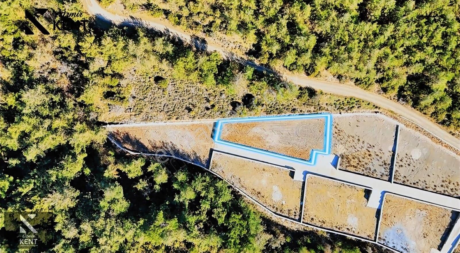 Kemalpaşa Kuyucak Satılık Bahçe 1.070 M2 - Görsel 8