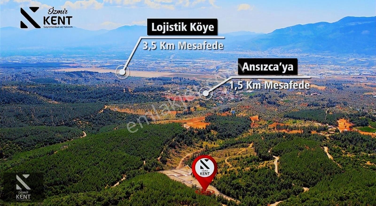 Kemalpaşa Kuyucak Satılık Bahçe 1.070 M2 - Görsel 16