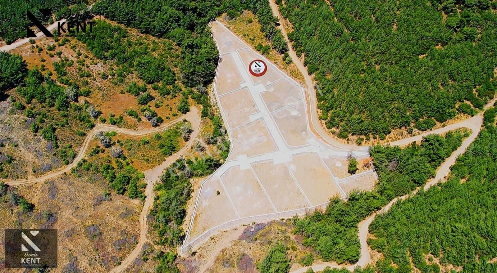 Kemalpaşa Kuyucak Satılık Bahçe 1.070 M2 - Görsel 6