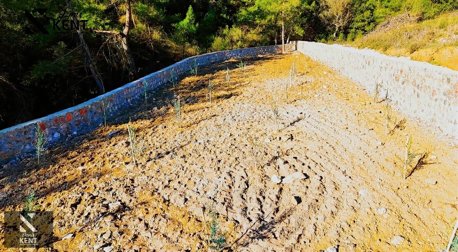 Kemalpaşa Kuyucak Satılık Bahçe 1.070 M2 - Görsel 12