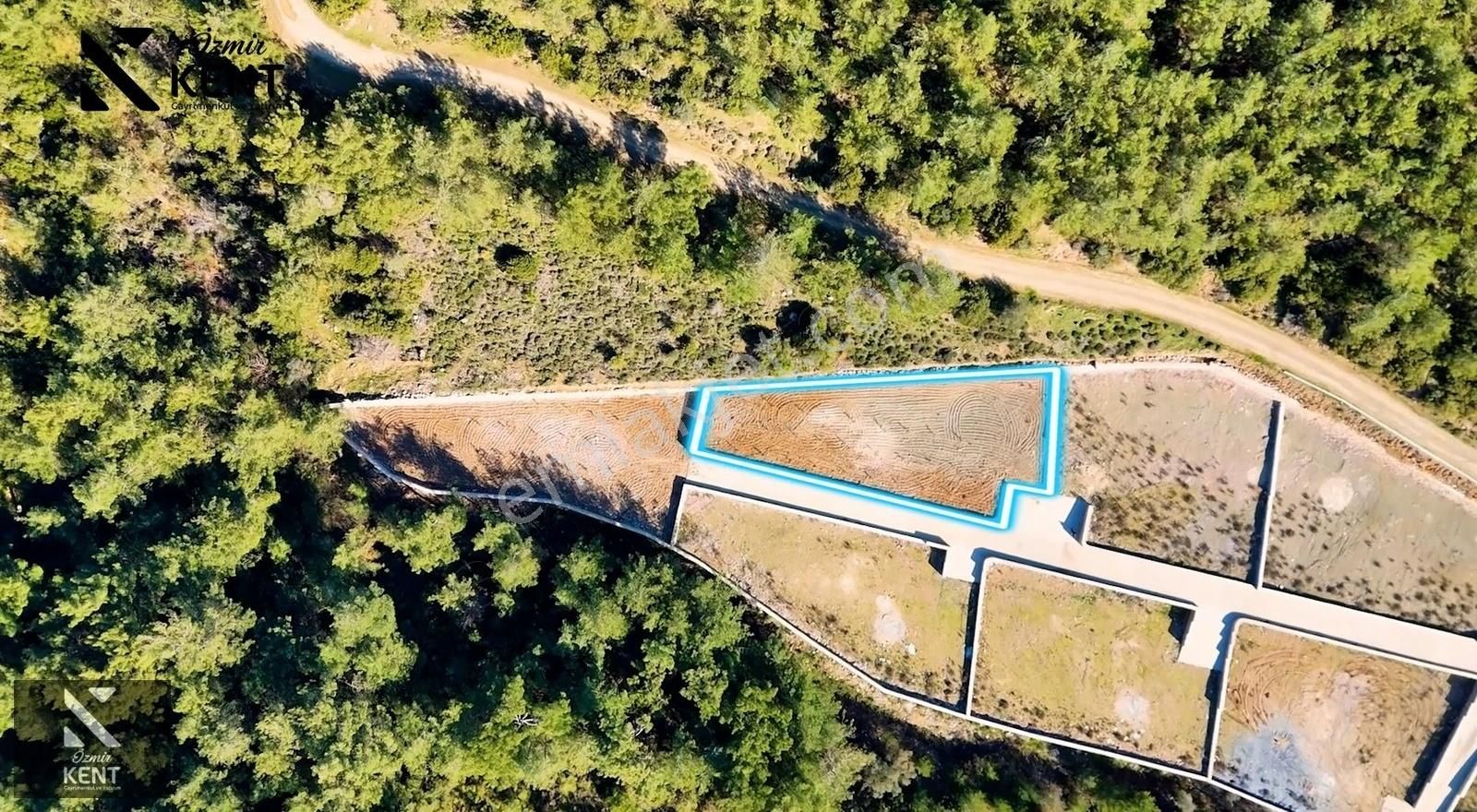 Kemalpaşa Kuyucak Satılık Bahçe 1.070 M2 - Görsel 14